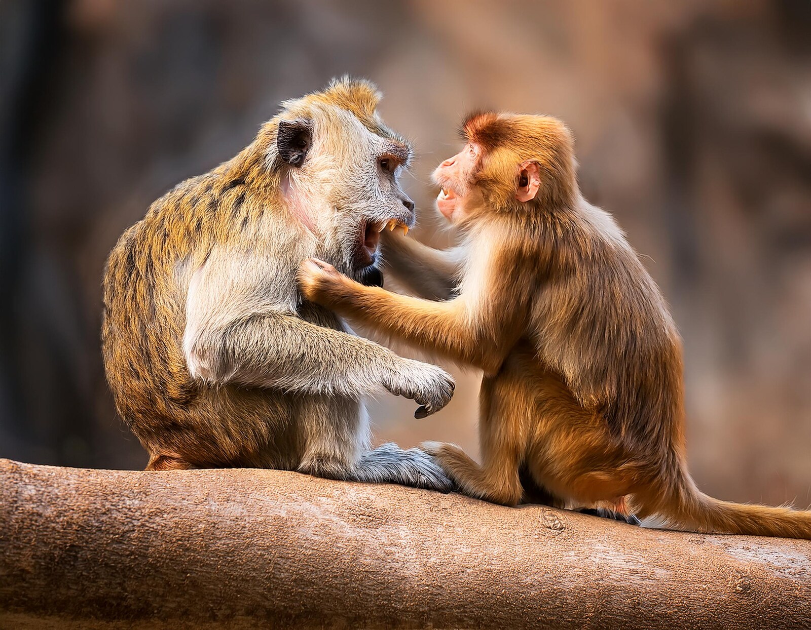 Qizil va qora sexy rang berish