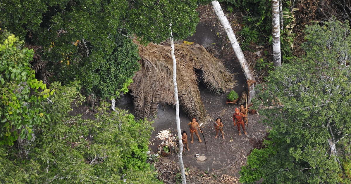 Zeker 196 inheemse groepen leven zonder contact met anderen in regenwouden