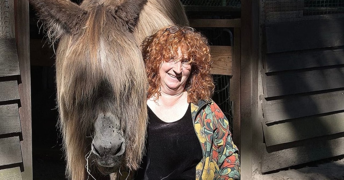 Ezel zonder pony krijgt lok van nephaar