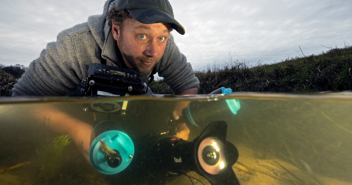 In natuurfilm SLOOT duik je onder water - Kidsweek