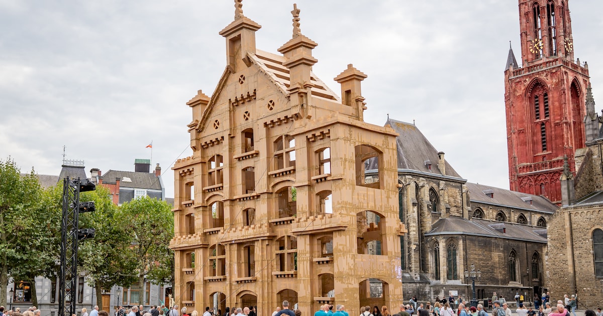 Enorm gebouw van karton in Maastricht