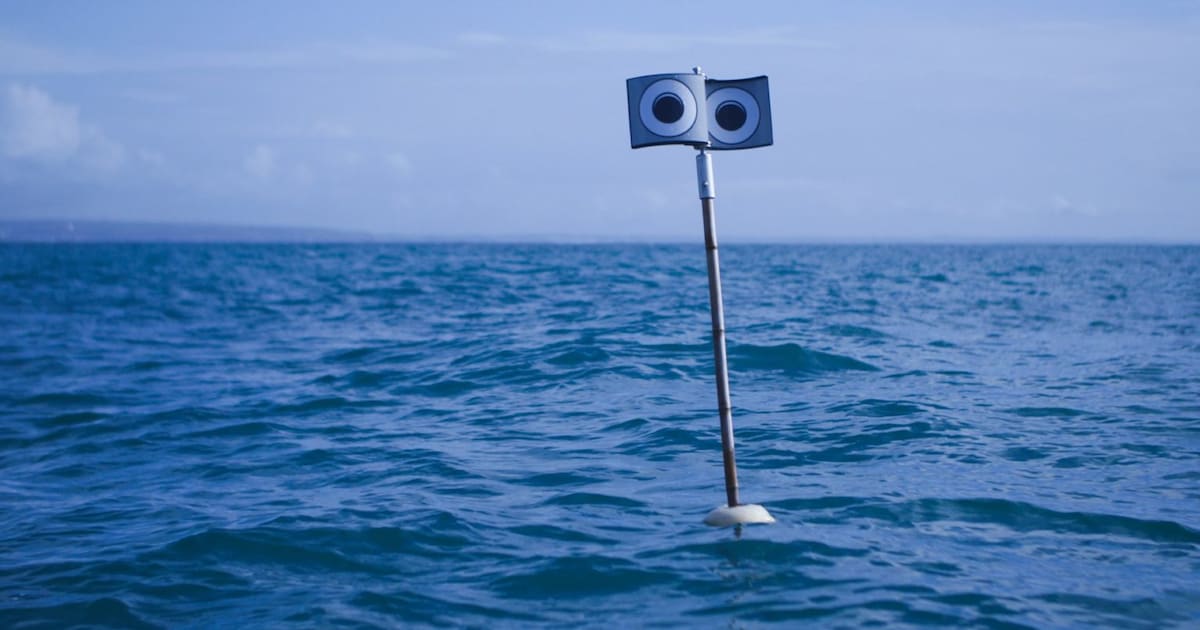 Met deze oplossingen willen onderzoekers de zee een handje helpen